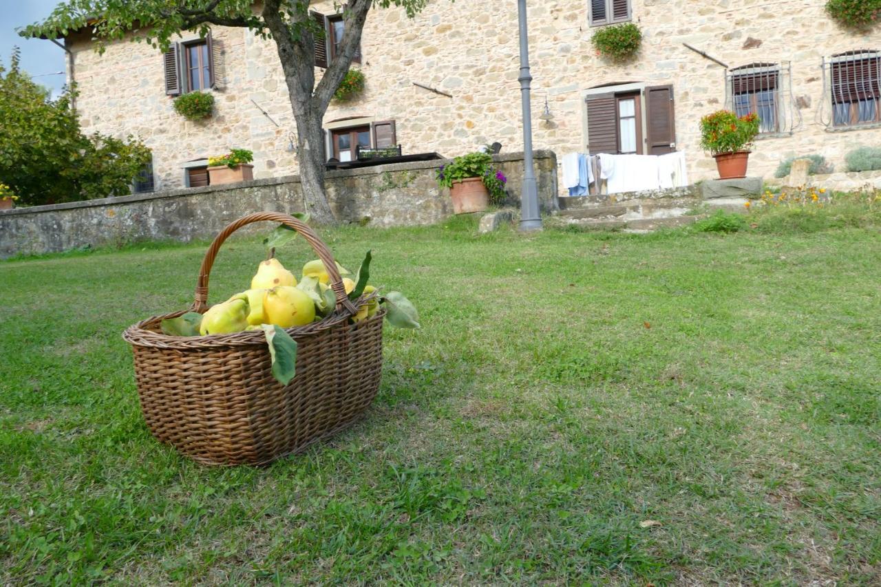Agriturismo Braccicorti Pieve Fosciana Extérieur photo
