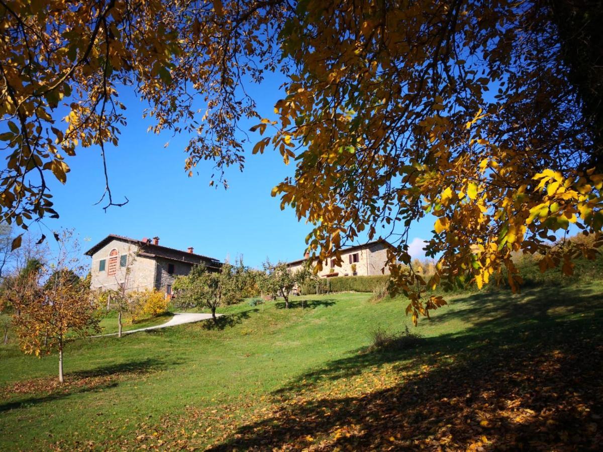 Agriturismo Braccicorti Pieve Fosciana Extérieur photo