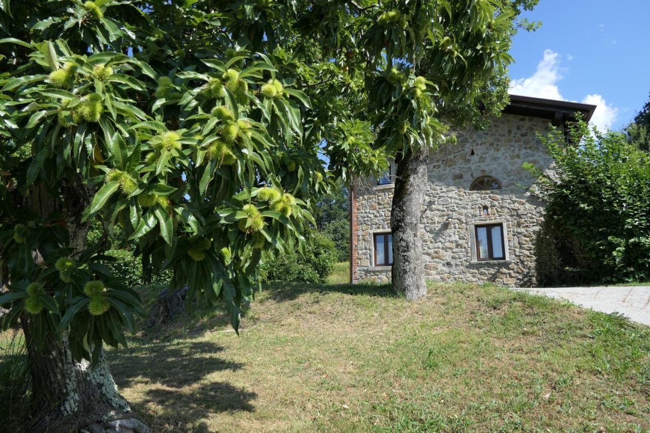 Agriturismo Braccicorti Pieve Fosciana Extérieur photo