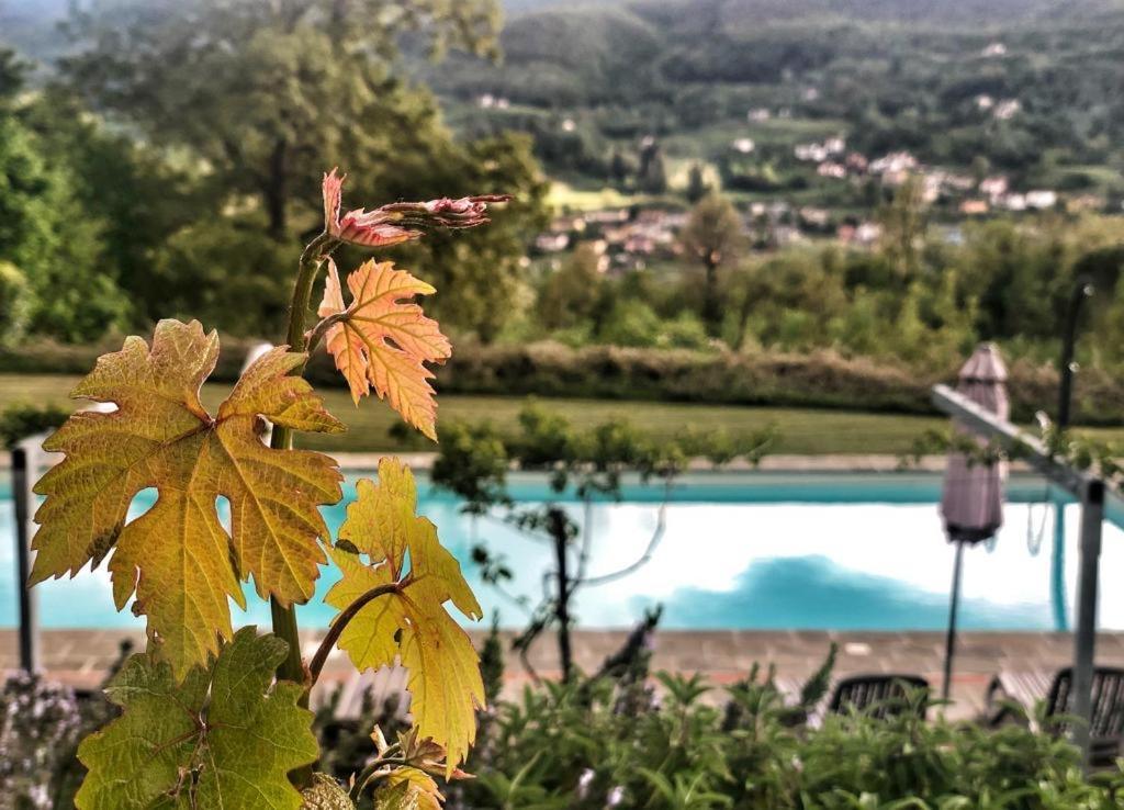 Agriturismo Braccicorti Pieve Fosciana Extérieur photo