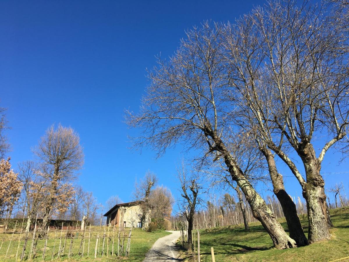 Agriturismo Braccicorti Pieve Fosciana Extérieur photo
